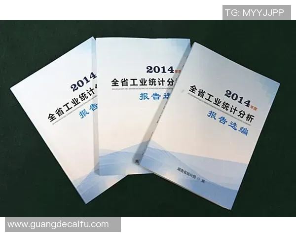 海登海姆与汉诺威比赛数据深度分析与统计解读