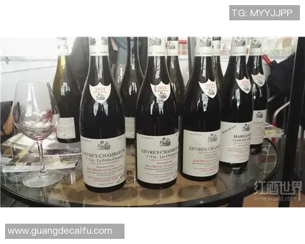 芝华士与卡菲塔勒斯塔帕丘拉的精彩对决分析与品鉴